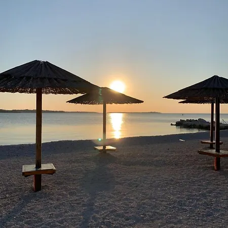 Puntizela-patty Πούλα