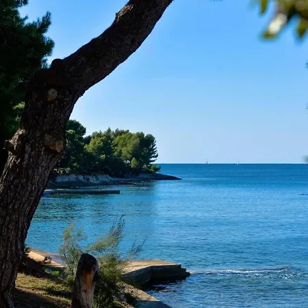 Διαμέρισμα Puntizela-patty