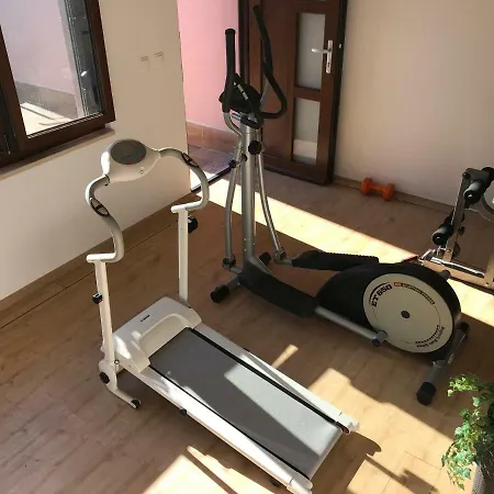 Puntizela-patty Pula