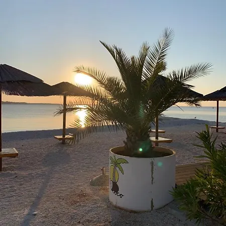 Puntizela-patty Daire *