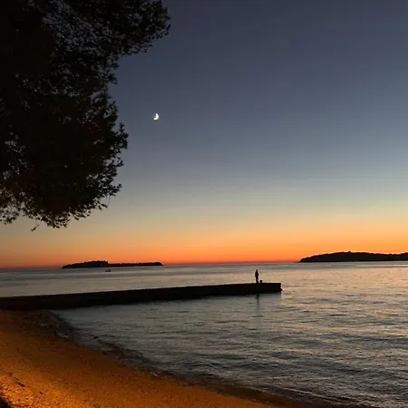 Puntizela-patty Pula