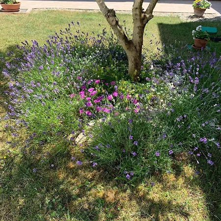 Puntizela-patty Appartement Pula