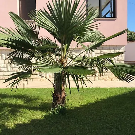 Puntizela-patty Appartement *