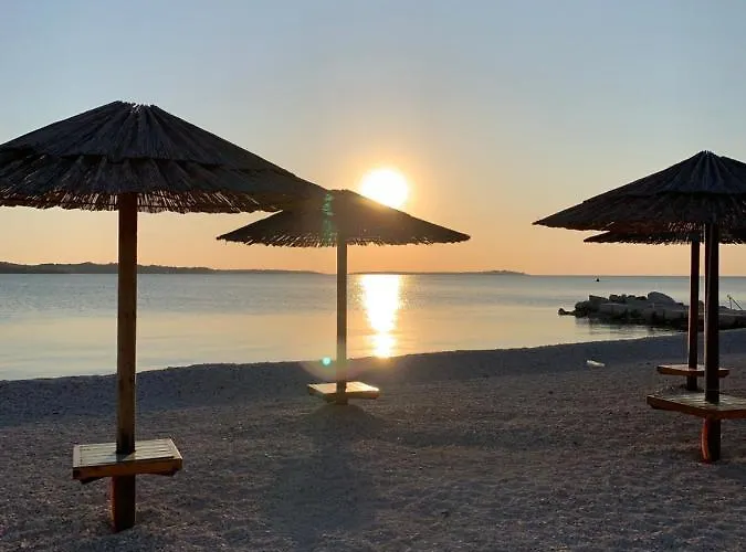 Puntizela-patty פולה