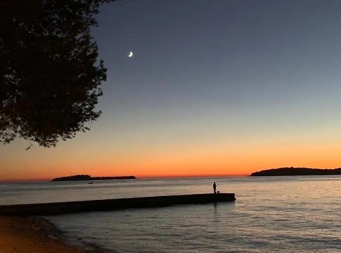 Puntizela-patty פולה