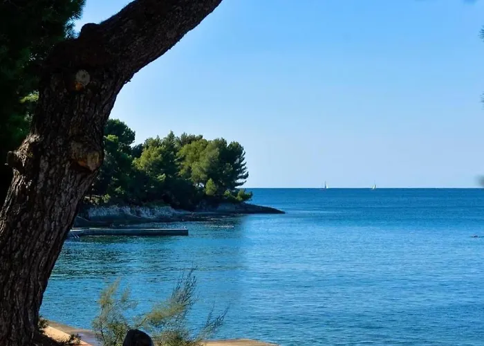 דירה Puntizela-patty