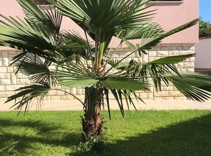 Puntizela-patty דירה *