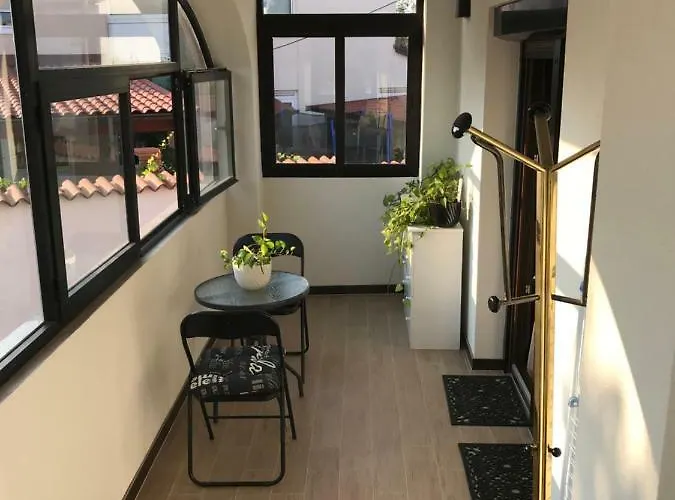 Puntizela-patty * 풀라